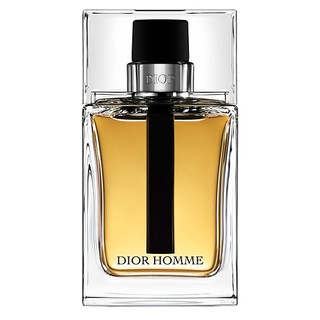 Christian Dior Homme Eau de Parfum 100ml (Tester)