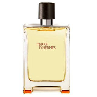 Hermès - Terre d' Hermes Eau de Toilette 100ml (Tester)