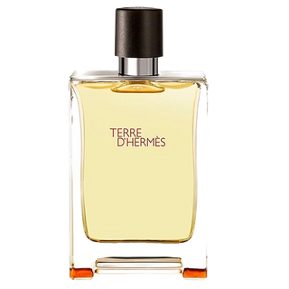 Hermès - Terre d' Hermes Eau de Toilette 100ml (Tester)